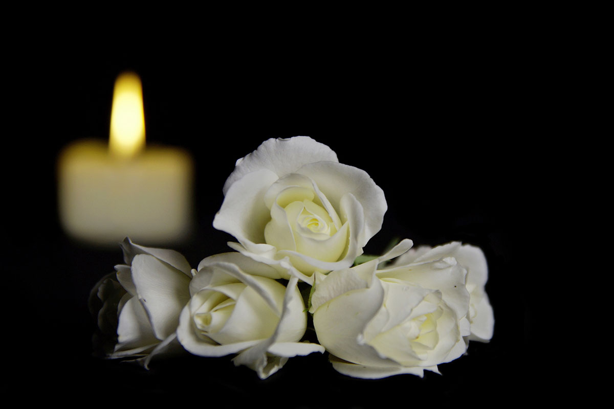 Белая роза и свеча